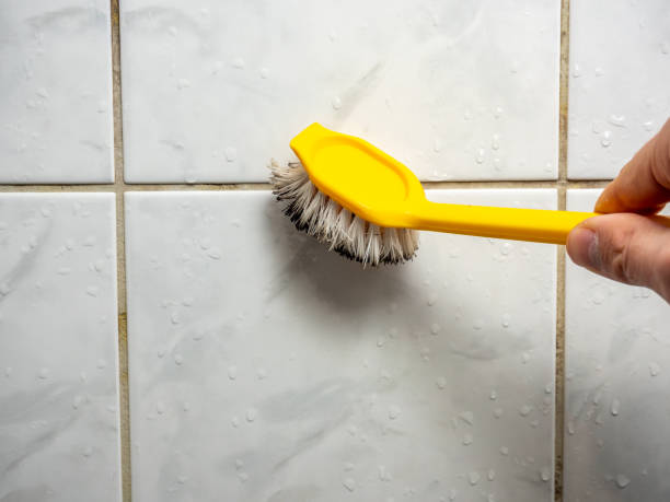 Best Home Mold Removal  in Winthrop, IA