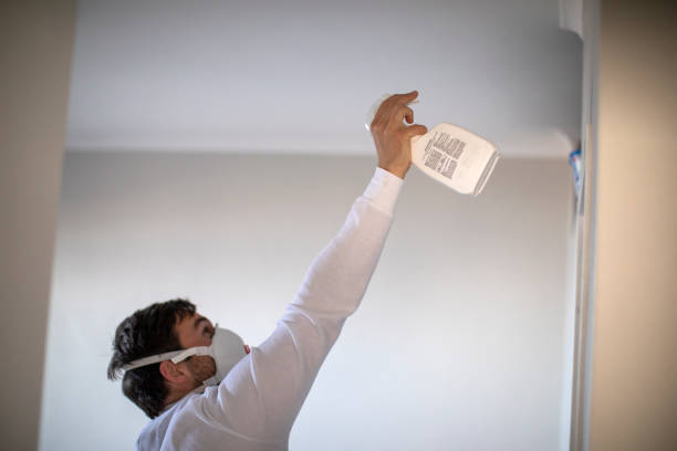 Best Mold Removal and Inspection  in Winthrop, IA