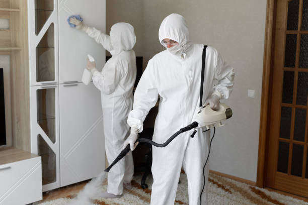 Home Mold Removal in Winthrop, IA