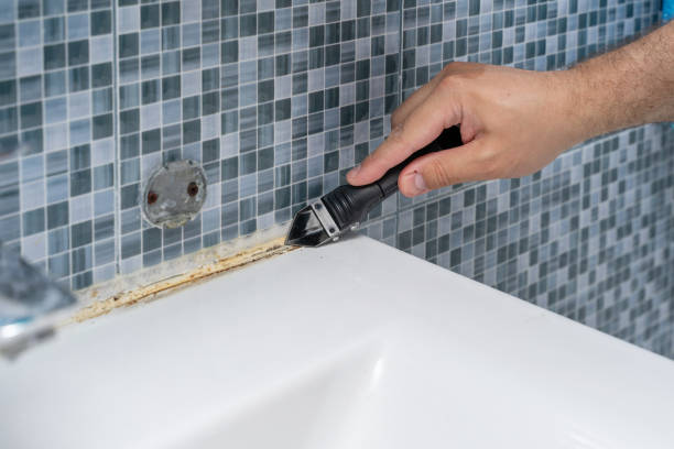 Best Best Mold Removal Companies  in Winthrop, IA